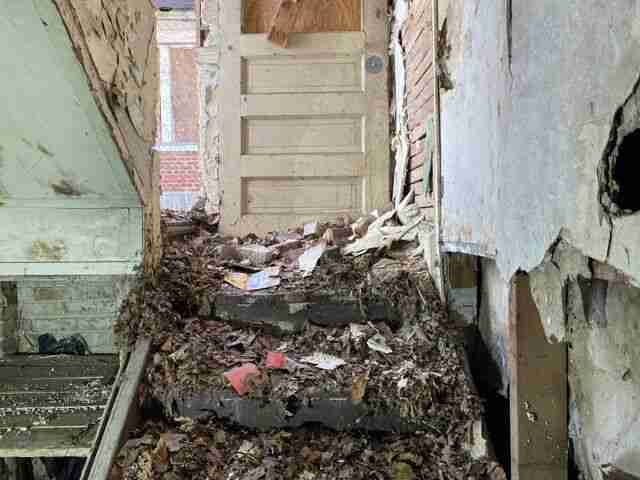 Testing again(79).jpg